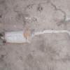 Seat Cordoba 1,9D  1995 - výfuk
